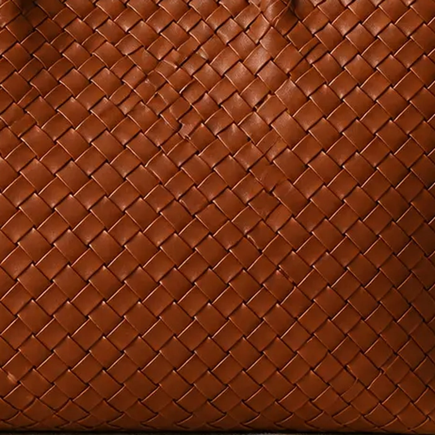 Signature Woven Tote Bag